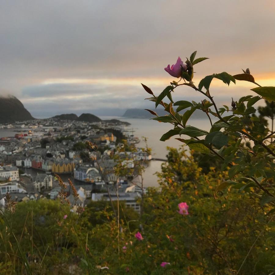 City View Studio Apartment Ålesund Exterior photo